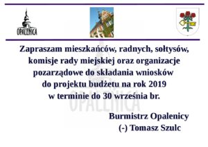 WNIOSKI DO PROJEKTU BUDŻETU NA 2019 ROK