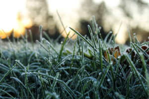 OSTRZEŻENIE METEOROLOGICZNE- PRZYMROZKI