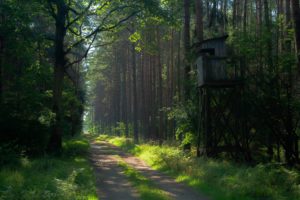 HARMONOGRAM POLOWAŃ ZBIOROWYCH