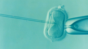 Wspieramy program „in vitro” w 2022 roku