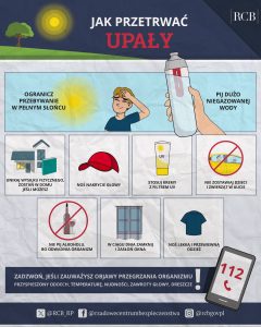 Jak przetrwać upały