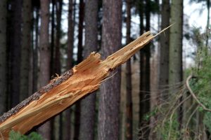 UWAGA ROLNICY – SZACOWANIE STRAT