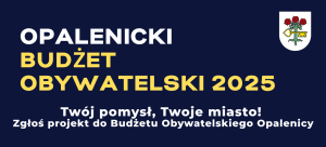Rusza pilotażowa edycja Budżetu Obywatelskiego