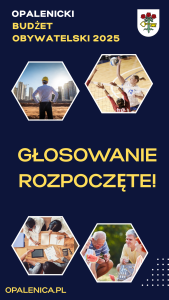 Budżet Obywatelski – głosowanie rozpoczęte