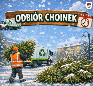 Odbiór choinek na terenie Gminy Opalenica