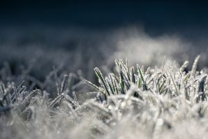 Apel w sprawie osób dotkniętych kryzysem bezdomności
